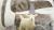 Tejeskávé sherpa takaró 200*230 cm 1